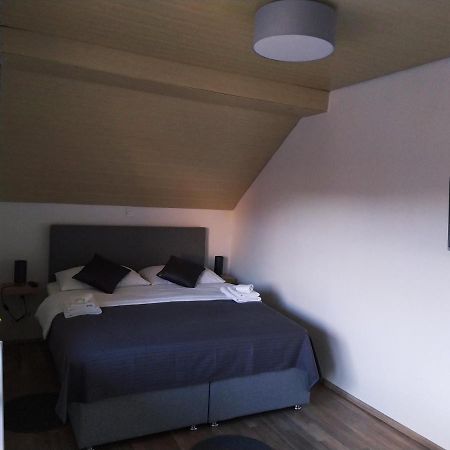 Apartment Trubarjeva33, Near Ljubljana, Free Parking Velike Lasce المظهر الخارجي الصورة