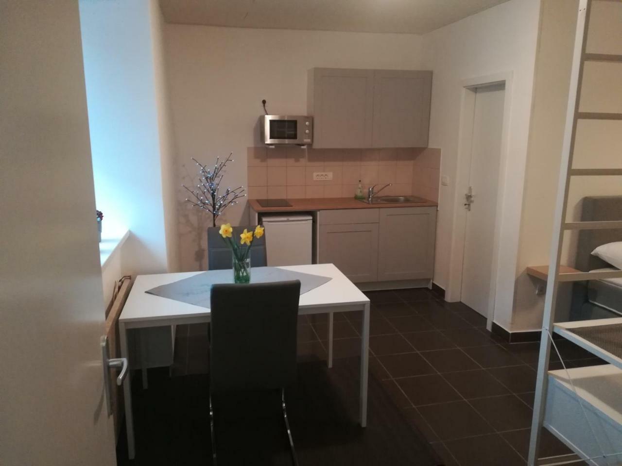 Apartment Trubarjeva33, Near Ljubljana, Free Parking Velike Lasce المظهر الخارجي الصورة